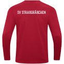 SV Straßgräbchen Herren Sweat Power rot