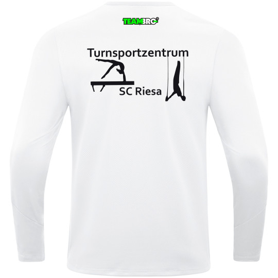 SC Riesa Ziptop Turnen Kinder