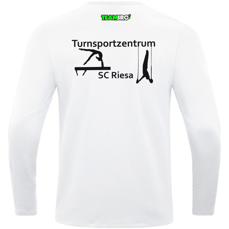 SC Riesa Ziptop Turnen Kinder