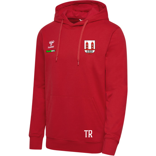 SG Motor Wilsdruff Handball Unisex Hoodie
