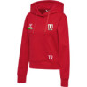 SG Motor Wilsdruff Handball Damen Hoodie