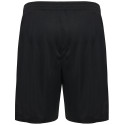 SG Motor Wilsdruff Handball Unisex Shorts schwarz