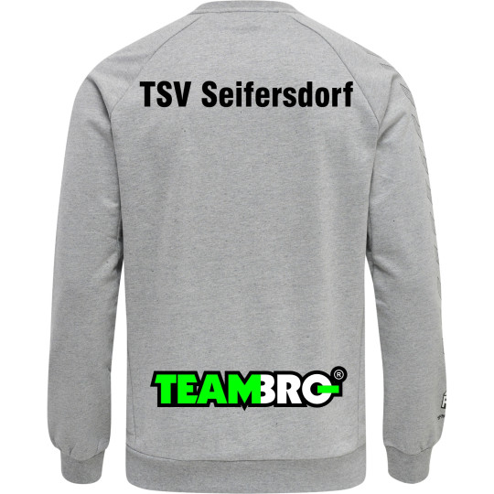TSV Seifersdorf Volleyball Herren Sweatshirt