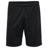 Zwönitzer HSV Kinder Shorts schwarz