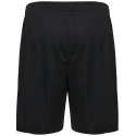 Zwönitzer HSV Kinder Shorts schwarz