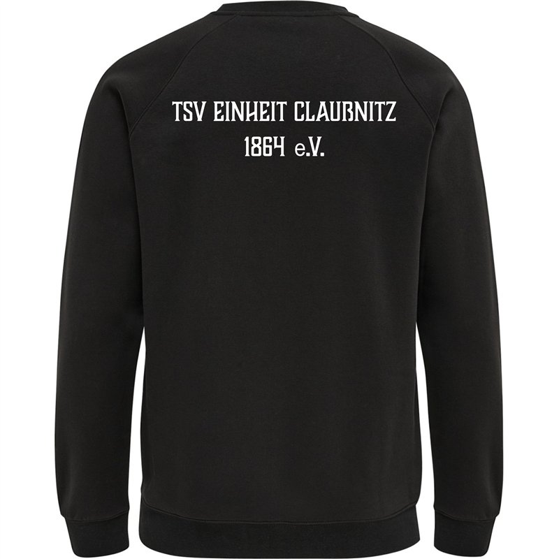 TSV Einheit Claußnitz Kinder Freizeit Pullover
