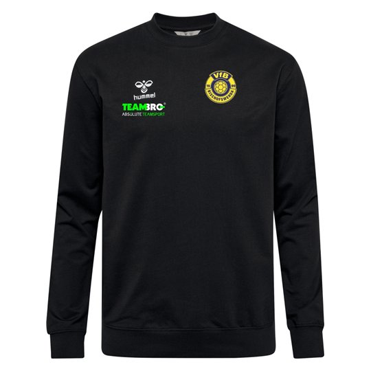 VfB 1999 Bischofswerda Kinder Sweatshirt