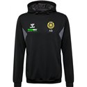 VfB 1999 Bischofswerda Herren Hoodie