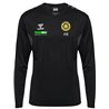 VfB 1999 Bischofswerda Herren Longsleeve