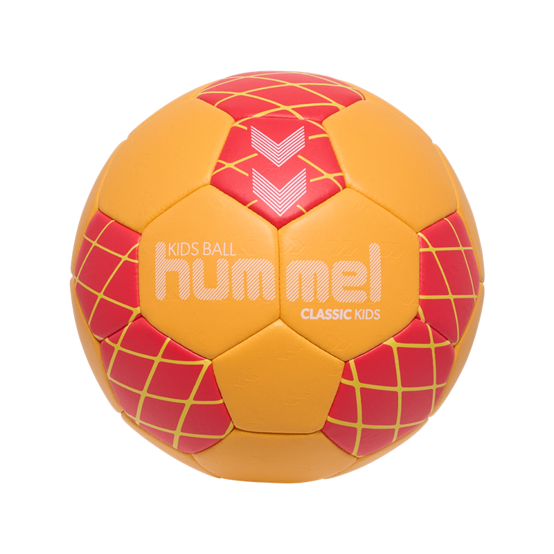 VfB 1999 Bischofswerda Handball