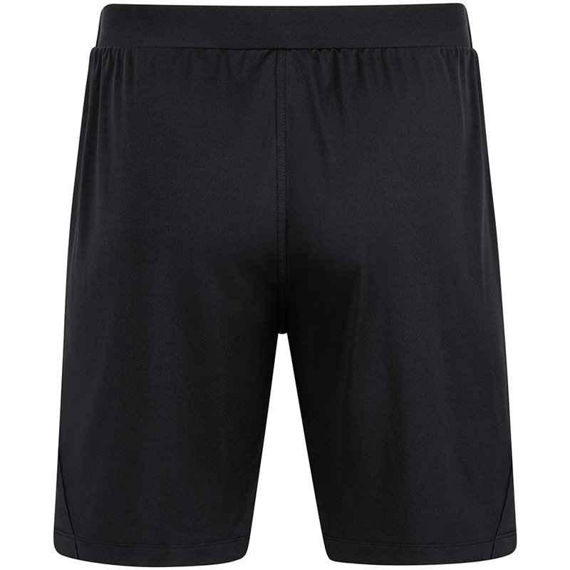 ATV 1848 Hainichen Herren Short Power schwarz