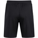 ATV 1848 Hainichen Kinder Short Power schwarz