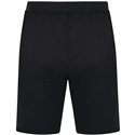 ATV 1848 Hainichen Herren Trainingsshort Allround schwarz