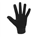 SG Motor Wilsdruff Fußball Spielerhandschuhe 