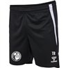 1. VV Freiberg Damen Shorts
