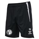 1. VV Freiberg Unisex Training Shorts