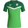 SG 90 Braunsdorf Trainingsshirt Herren