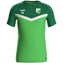 SG 90 Braunsdorf Trainingsshirt Kinder