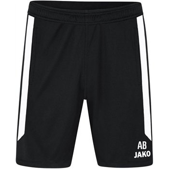 SG 90 Braunsdorf Trainingshose kurz Herren