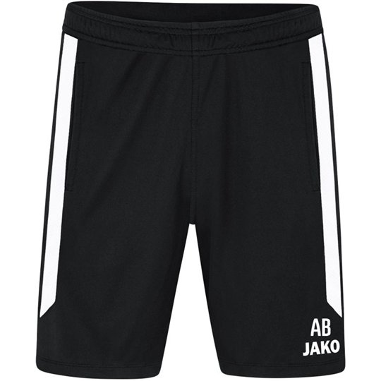 SG 90 Braunsdorf Trainingshose kurz Herren