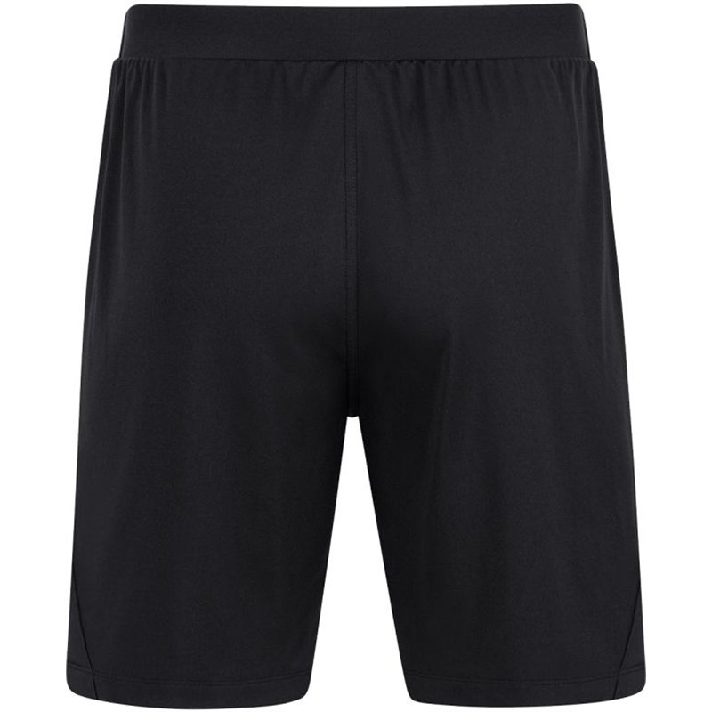 SG 90 Braunsdorf Trainingshose kurz Herren