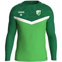 SG 90 Braunsdorf Trainingspullover Unisex