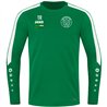 Hetzdorfer SV Herren Sweat grün