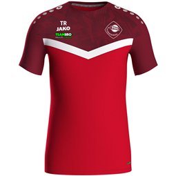 SG Stahl Schmiedeberg T-Shirt Iconic Herren